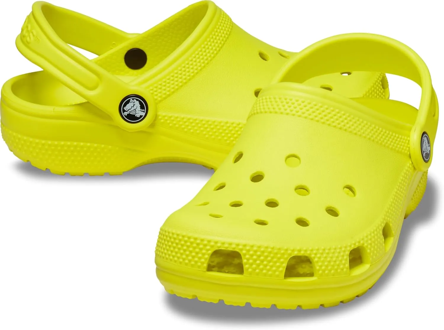 Crocs Unisex-Adult Classic Clog T Ady