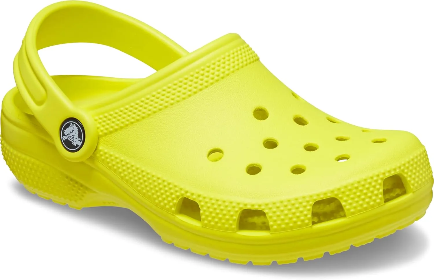 Crocs Unisex-Adult Classic Clog T Ady