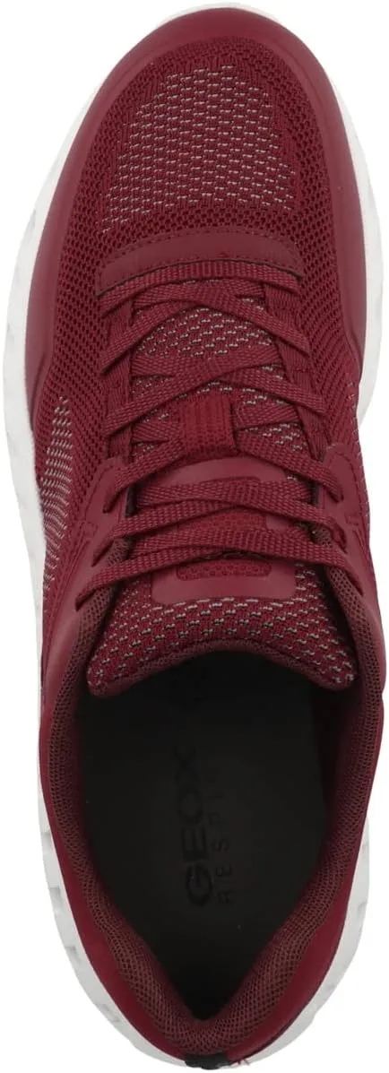 Geox Men's Sneaker